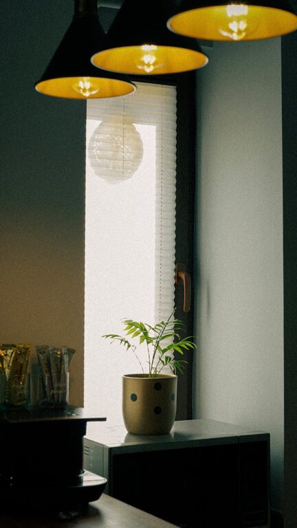 Simple Tips for Creating a Cosy and Welcoming Home Environment