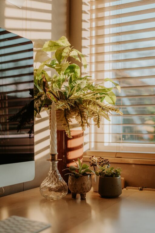 Tips for Creating a Cosy and Functional Home Office Space