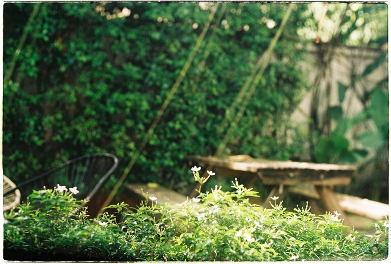 Tips for Creating a Relaxing Home Garden Space